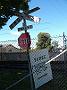 fish-coop-taree 033